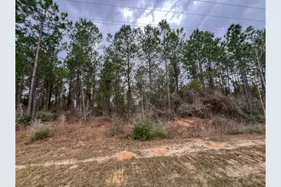 T-1 Farm To Market 1012, Newton, TX 75966 - Photo 13