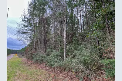 T-1 Farm To Market 1012, Newton, TX 75966 - Photo 9