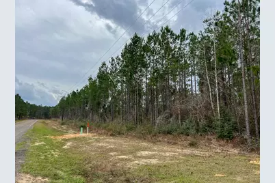 T-1 Farm To Market 1012, Newton, TX 75966 - Photo 3