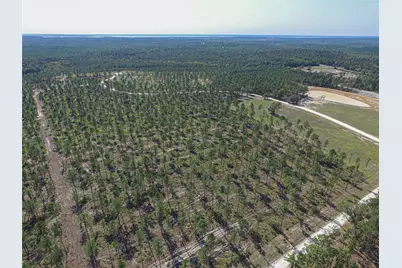 006 Nelson Dr, Livingston, TX 77351 - Photo 5