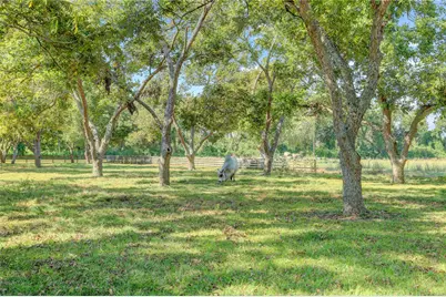 11935 County Road 160, Boling, TX 77420 - Photo 33