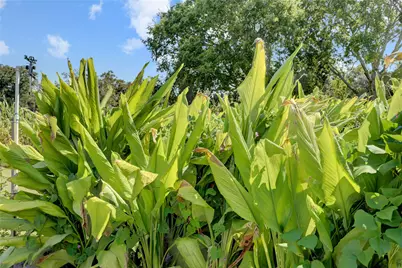 11935 County Road 160, Boling, TX 77420 - Photo 49