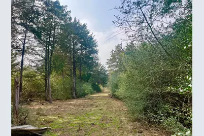 Tbd Hayek Road, Columbus, TX 78934 - Photo 17