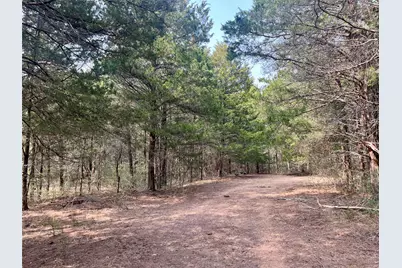 Tbd Hayek Road, Columbus, TX 78934 - Photo 15