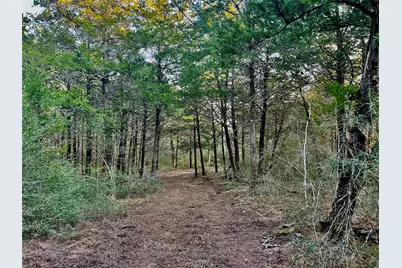 Tbd Hayek Road, Columbus, TX 78934 - Photo 7