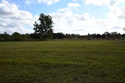 Tbd County Road 2060, Hull, TX 77564 - Photo 5