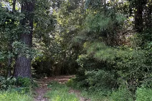 4977 FM1008, Kenefick, TX 77535 - Photo 1