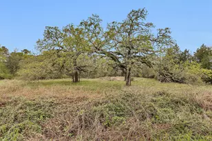 2478 Fm 980 Rd, Riverside, TX 77320 - Photo 1