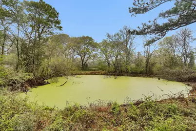 2478 Fm 980 Road, Riverside, TX 77320 - Photo 3