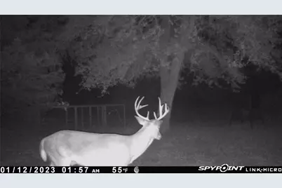 1019 Deerfield Court, Weimar, TX 78962 - Photo 47