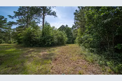 23299 Sharpwest Trail, Montgomery, TX 77356 - Photo 13