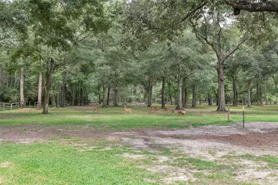 28918 Misty Oaks Drive, Huffman, TX 77336 - Photo 45