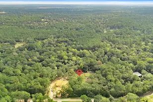 0 Crooked Creek, Hockley, TX 77447 - Photo 9