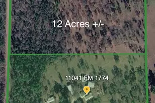 Tbd Cr207, Plantersville, TX 77363 - Photo 1