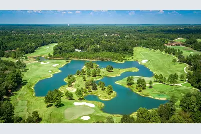 7 Primm Valley Ct, The Woodlands, TX 77389 - Photo 13