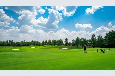 7 Primm Valley Ct, The Woodlands, TX 77389 - Photo 19