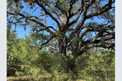 2183 Farm To Market 3283, Hallettsville, TX 77964 - Photo 41