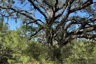 2183 Farm To Market 3283, Hallettsville, TX 77964 - Photo 41