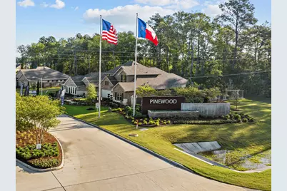 17105 Pinewood Branch Drive, New Caney, TX 77357 - Photo 33