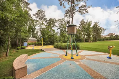 170 Black Swan Place, The Woodlands, TX 77354 - Photo 29