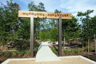 4746 Cascade Rdg Dr, Spring, TX 77386 - Photo 11