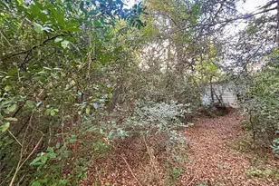 12836 Royal W Dr, Conroe, TX 77303 - Photo 3