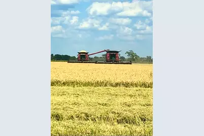 Tbd Hwy 65 and Fm 1724, Anahuac, TX 77514 - Photo 19