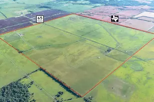 Tbd Hwy 65 and Fm 1724, Anahuac, TX 77514 - Photo 1