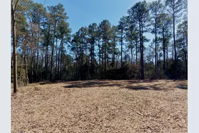 17819 Indigo Hills Drive, Magnolia, TX 77355 - Photo 5