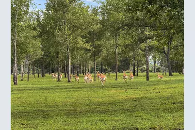 1100 Felder Road, Washington, TX 77880 - Photo 47