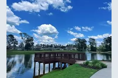 175 Ashe Juniper Way, Magnolia, TX 77354 - Photo 33