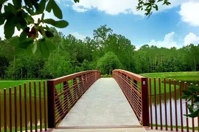 157 Pine Crest Circle, Montgomery, TX 77316 - Photo 45