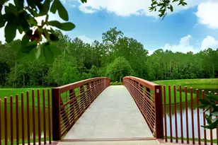 157 Pine Crest Cir, Montgomery, TX 77316 - Photo 45