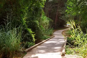 157 Pine Crest Cir, Montgomery, TX 77316 - Photo 37