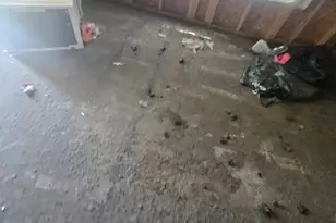 10013 Fairland Dr, Houston, TX 77051 - Photo 7