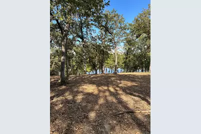 Tr157 Pr 1311, Centerville, TX 75833 - Photo 17