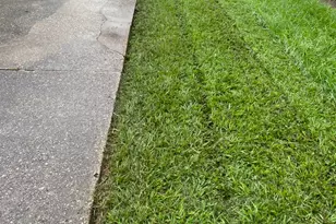 2323 Spring Dusk Ln, Spring, TX 77373 - Photo 17