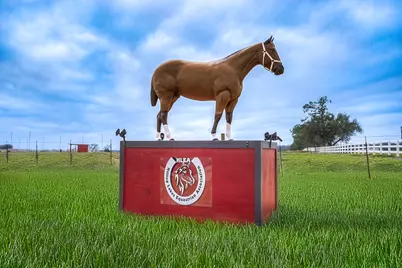 Tbd N Golfclub Drive, Hilltop Lakes, TX 77871 - Photo 21