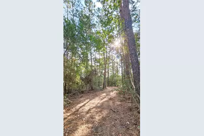 Lot 10 Gregory Lane, New Waverly, TX 77358 - Photo 5