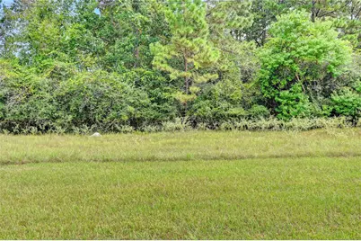 148 Port Au Prince Court, Montgomery, TX 77316 - Photo 23