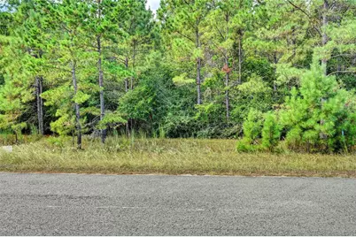 148 Port Au Prince Court, Montgomery, TX 77316 - Photo 7