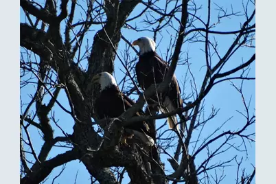 2810 Precinct Line Road, Richmond, TX 77406 - Photo 43