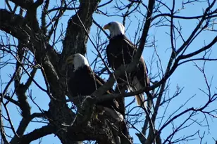 2810 Precinct Line Rd, Richmond, TX 77406 - Photo 43