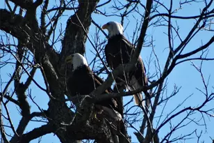 2810 Precinct Line Rd, Richmond, TX 77406 - Photo 43