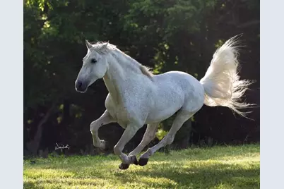 2810 Precinct Line Road, Richmond, TX 77406 - Photo 3
