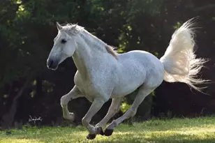 2810 Precinct Line Rd, Richmond, TX 77406 - Photo 3