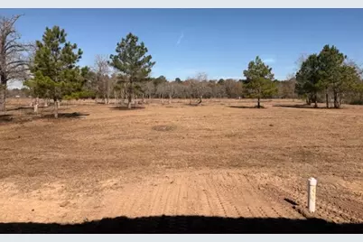 32310 Reids Prairie Road, Waller, TX 77484 - Photo 3