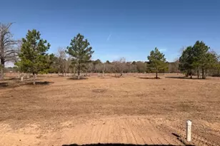 32310 Reids Prairie Rd, Waller, TX 77484 - Photo 3