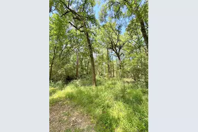 25920 Grand Pines, Magnolia, TX 77355 - Photo 7
