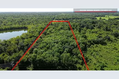 9325 Fm 1459 Road, Sweeny, TX 77480 - Photo 21